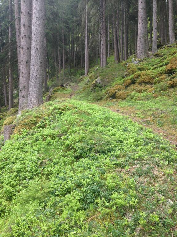 Apart Christa Daire Kaunertal Dış mekan fotoğraf